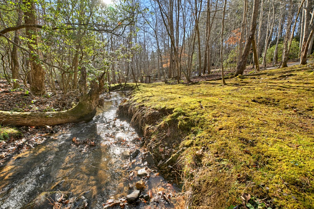 870 Mitchell Branch Road