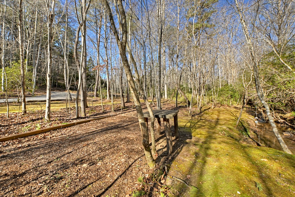 870 Mitchell Branch Road