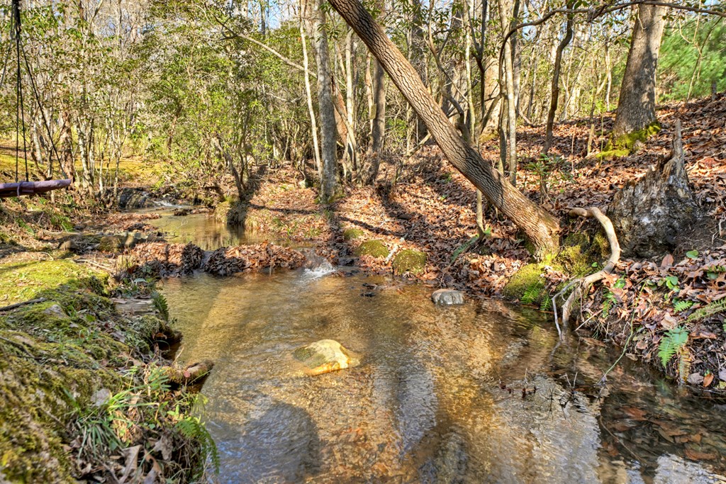 870 Mitchell Branch Road