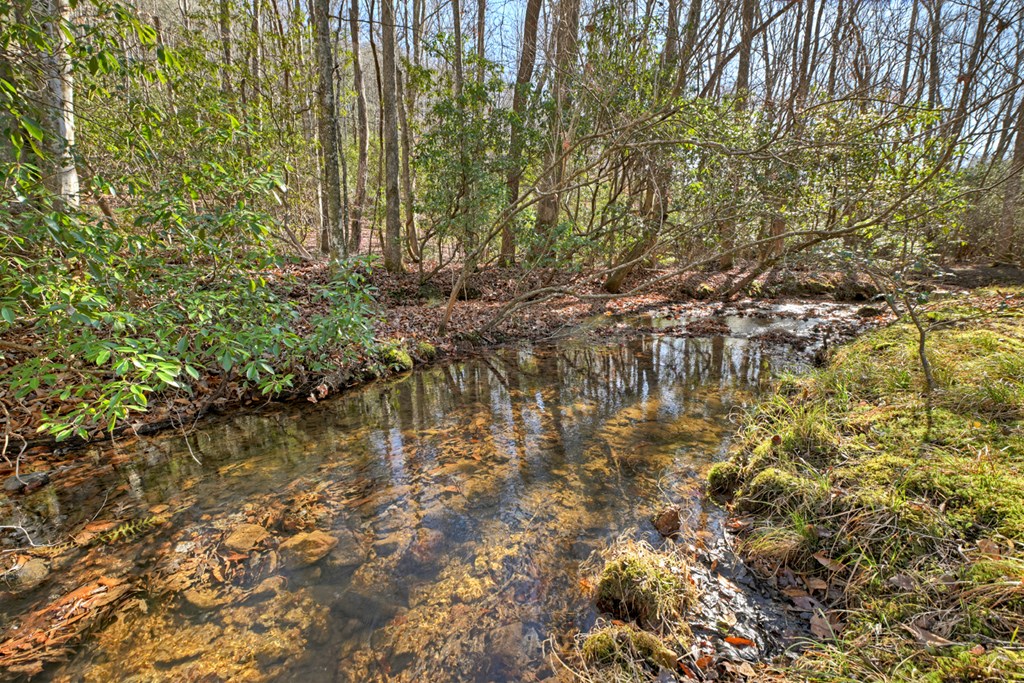 870 Mitchell Branch Road