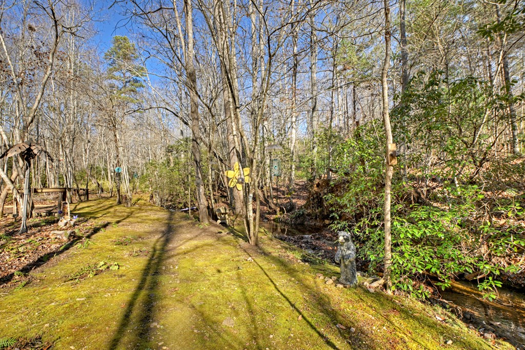 870 Mitchell Branch Road