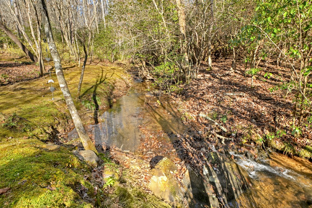 870 Mitchell Branch Road