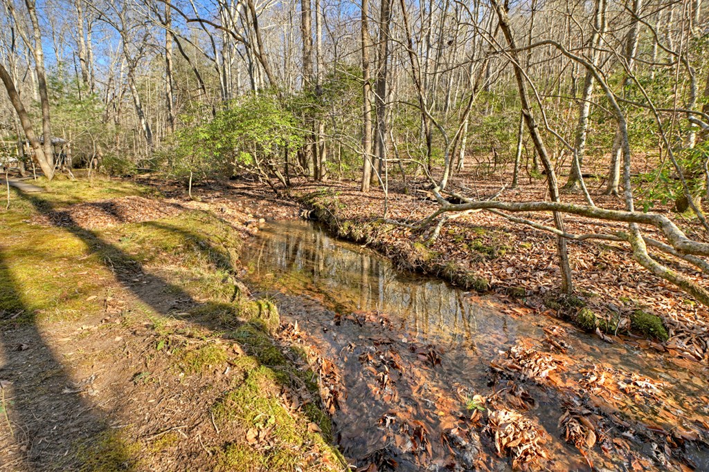 870 Mitchell Branch Road