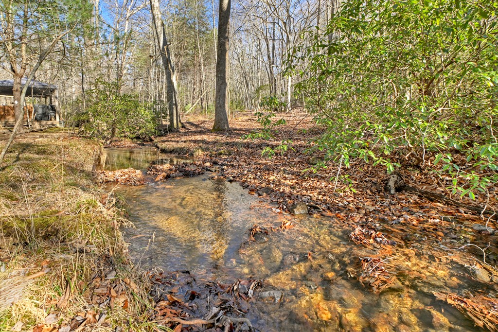 870 Mitchell Branch Road