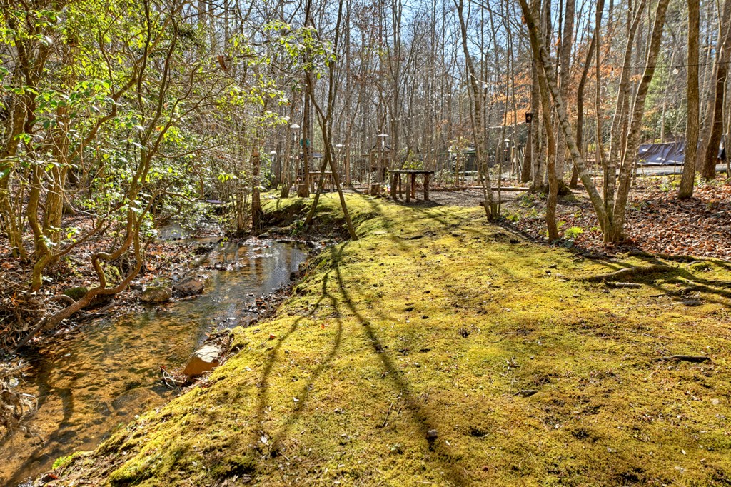 870 Mitchell Branch Road