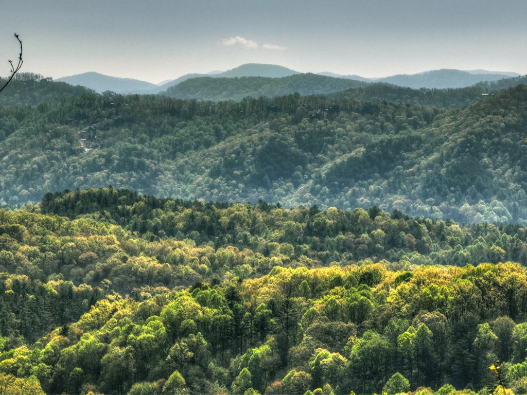 783 Moreland Drive N