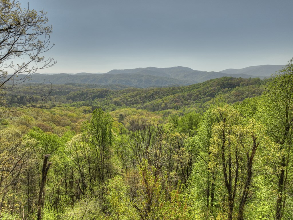 783 Moreland Drive N