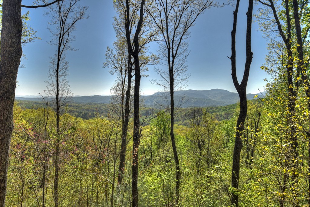 783 Moreland Drive N