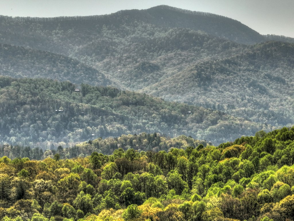 783 Moreland Drive N