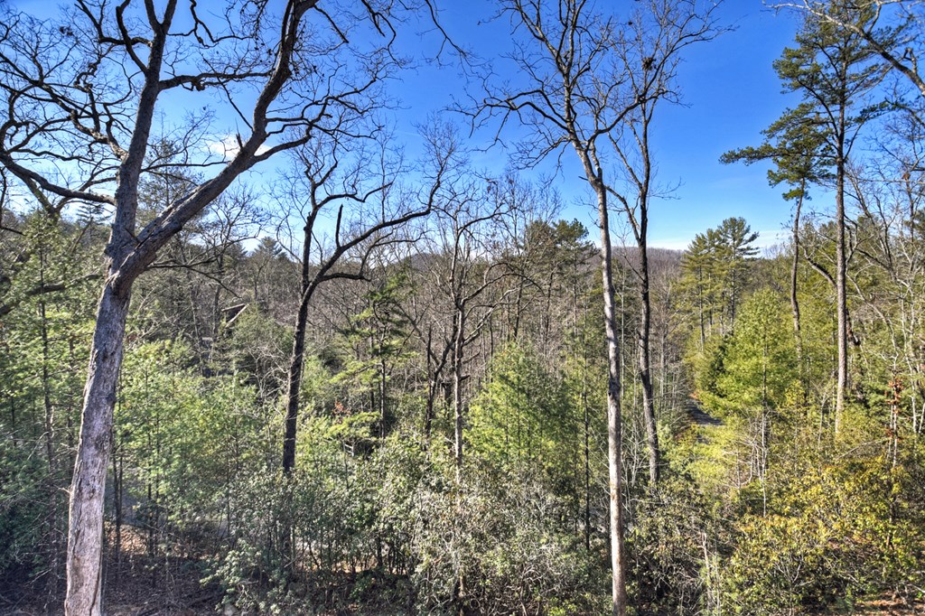 238 Hooch Holler Lane