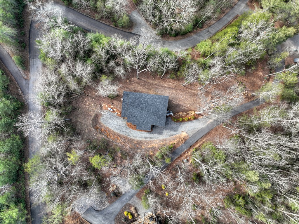 238 Hooch Holler Lane