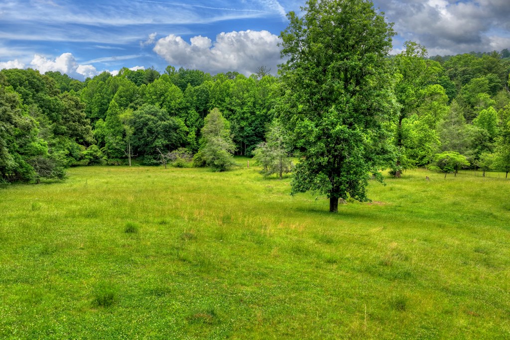 20.11 Ac Mountain View Road