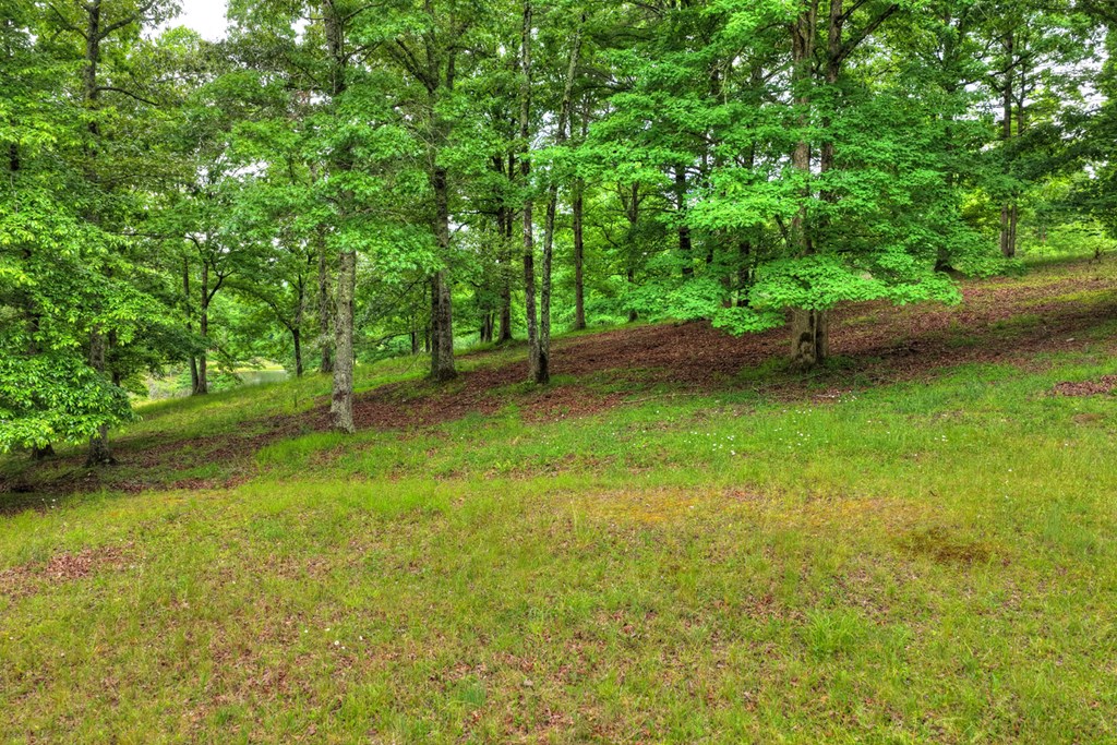 20.11 Ac Mountain View Road