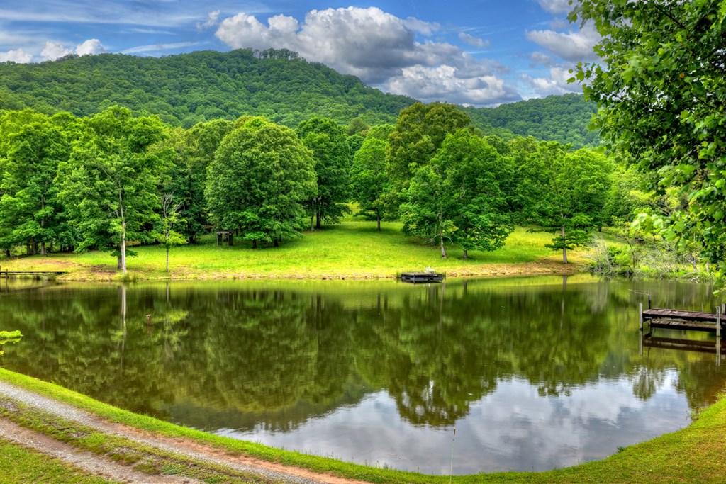 20.11 Ac Mountain View Road