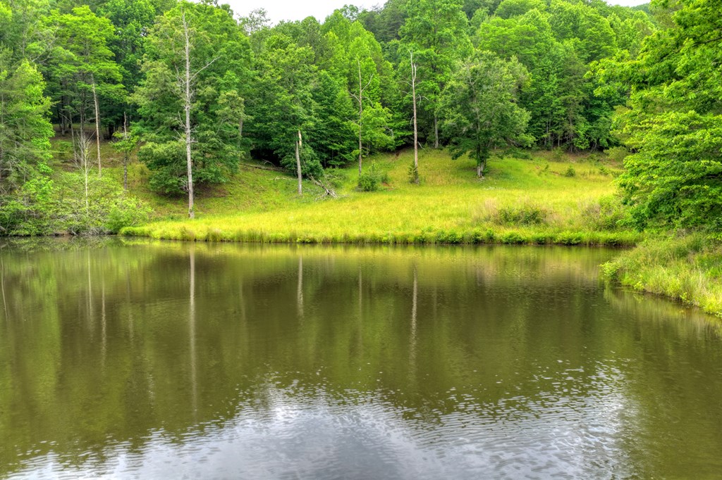 20.11 Ac Mountain View Road