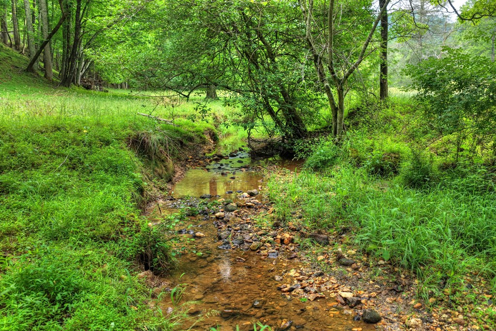 20.11 Ac Mountain View Road
