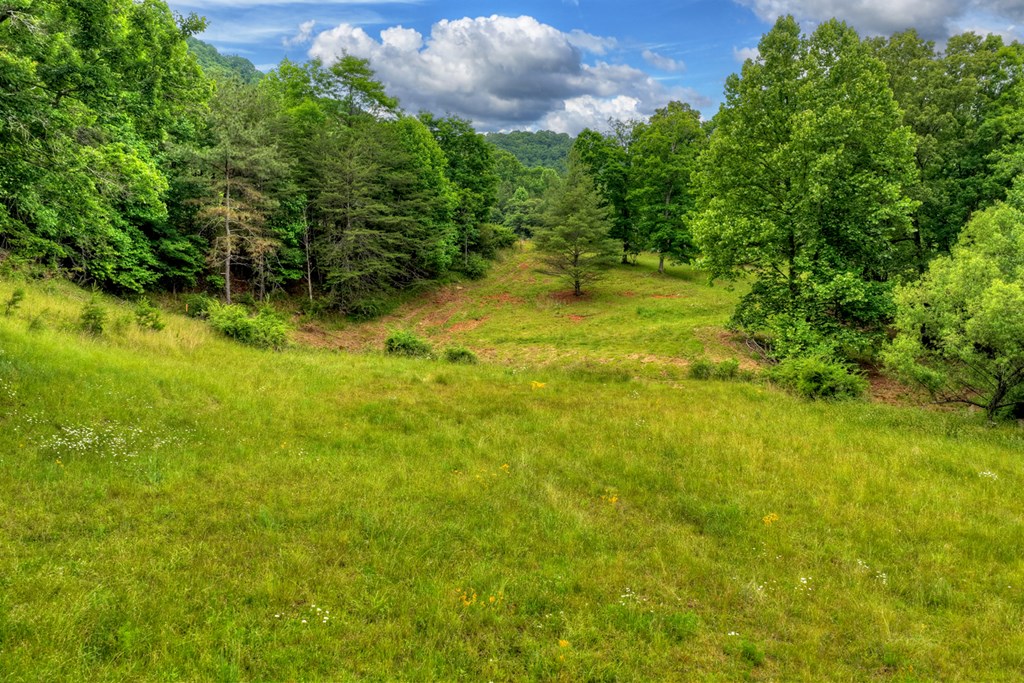 20.11 Ac Mountain View Road