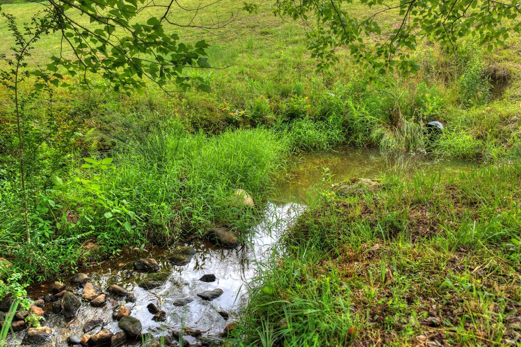 20.11 Ac Mountain View Road