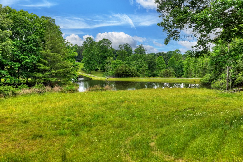 20.11 Ac Mountain View Road