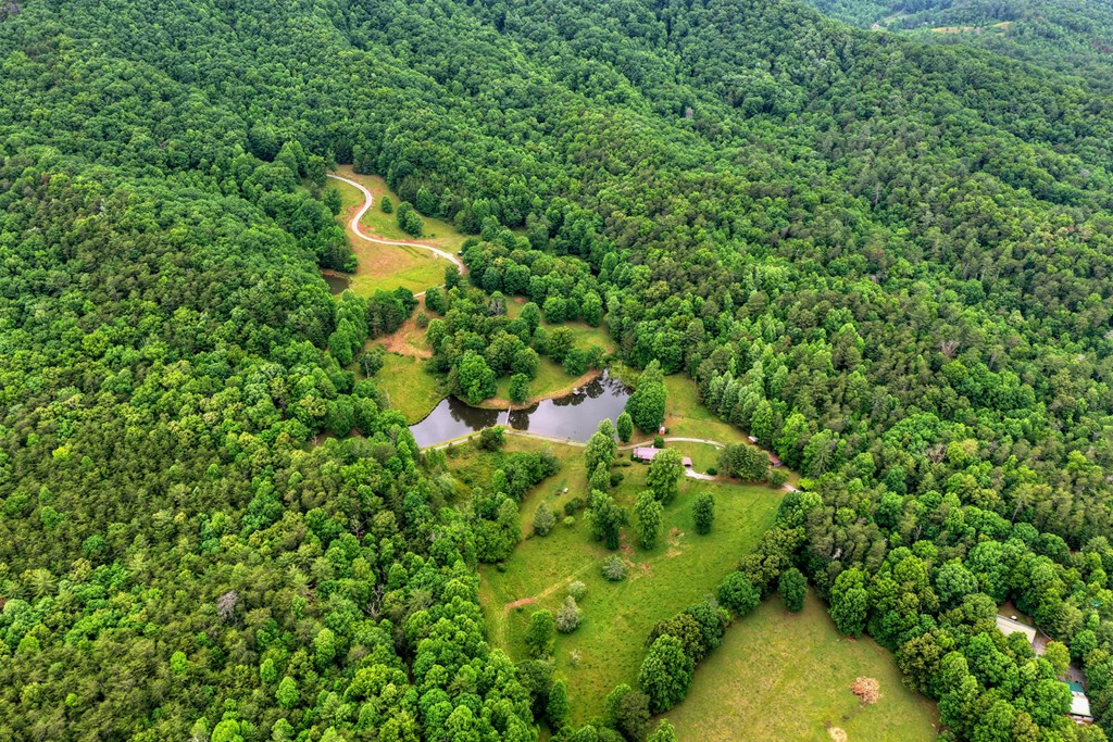 20.11 Ac Mountain View Road