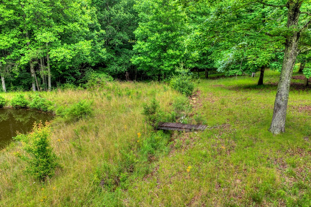 20.11 Ac Mountain View Road