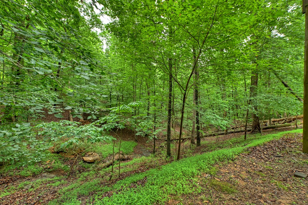 161 Foxhound Court