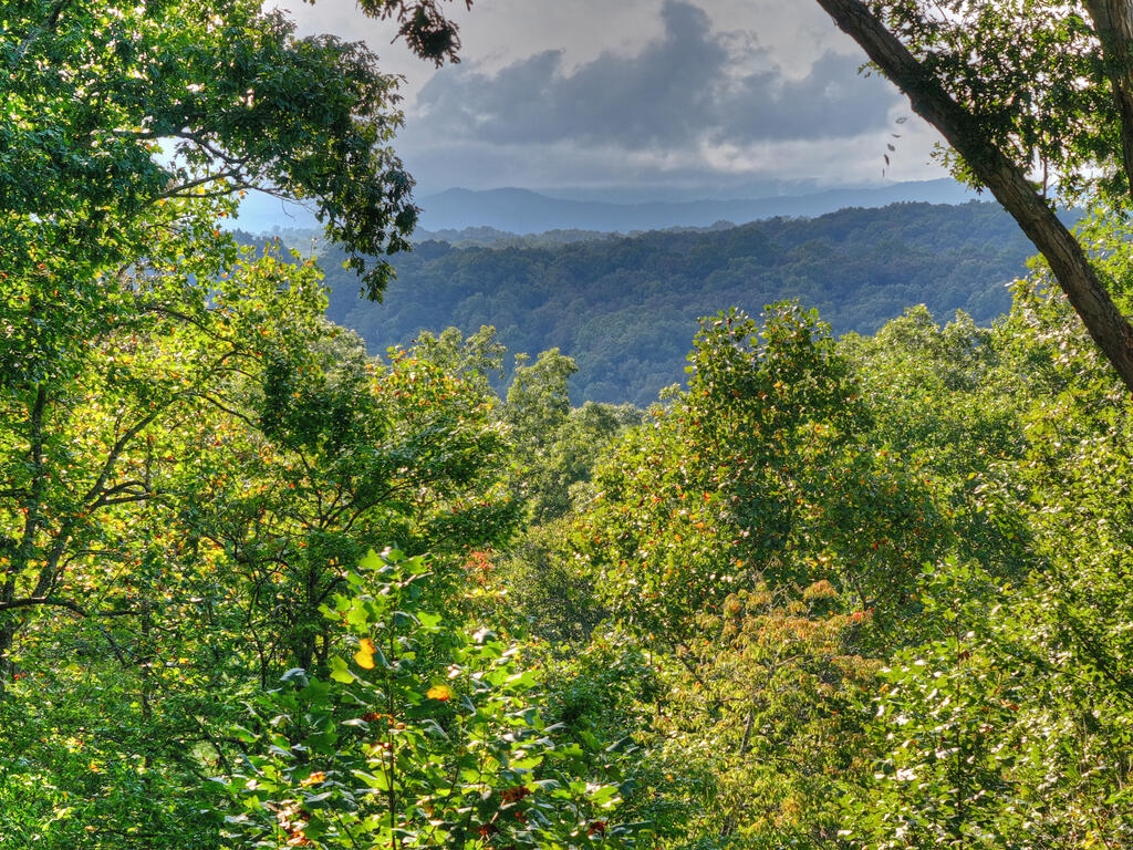 955 Old Toccoa Loop