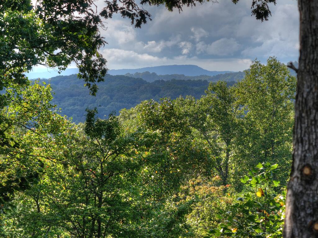 955 Old Toccoa Loop