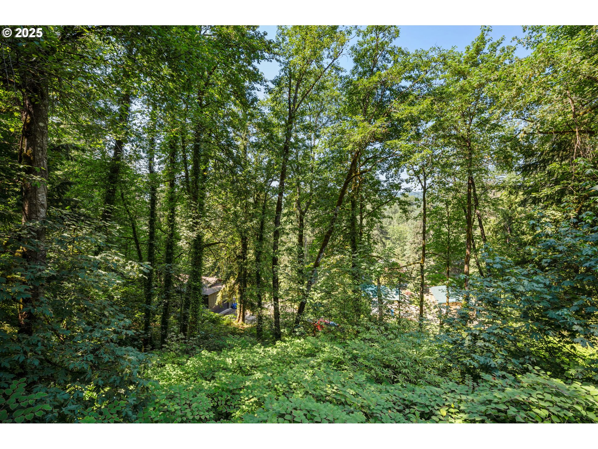 52955 E CHERRYVILLE DR