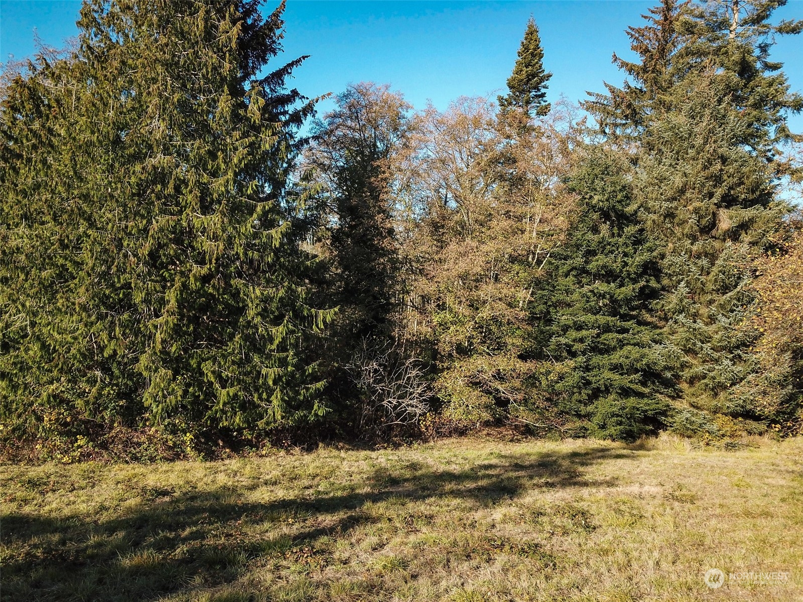 0 XXX Deception Circle