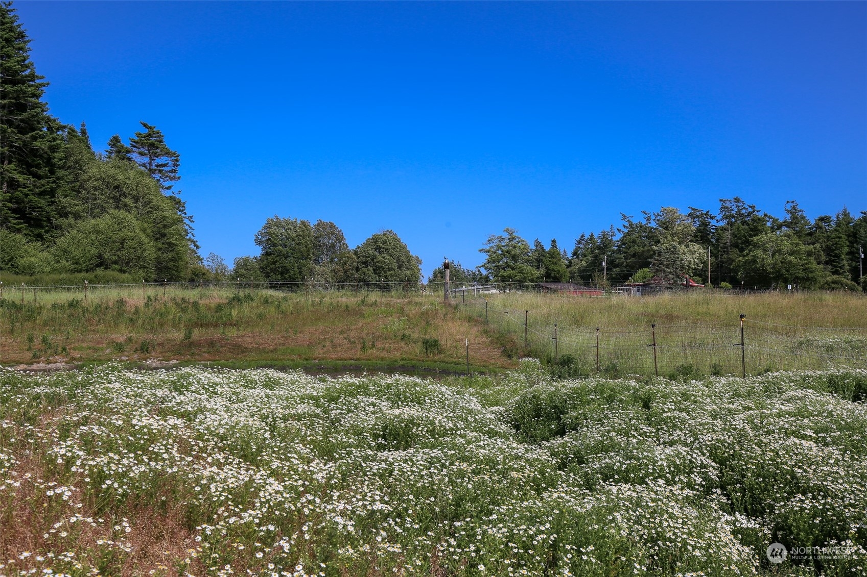 1798 Hastie Lake Road