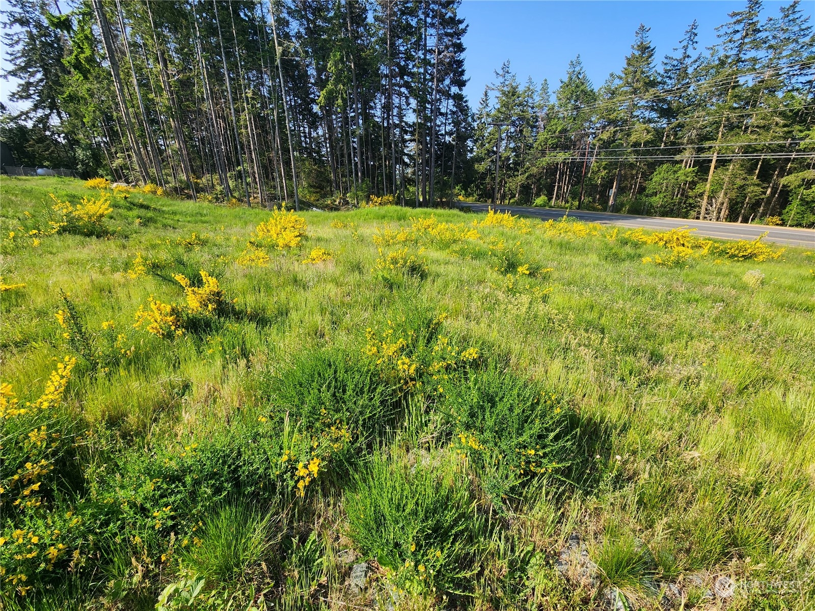 951 NE 21st Court Unit: 3