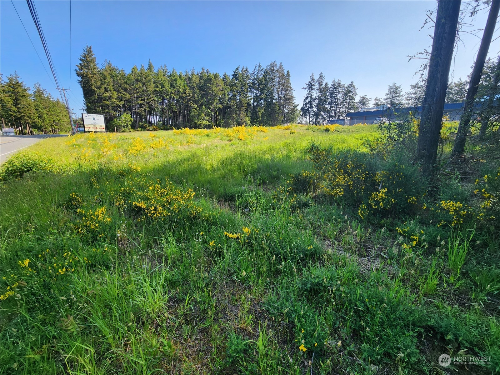 951 NE 21st Court Unit: 3