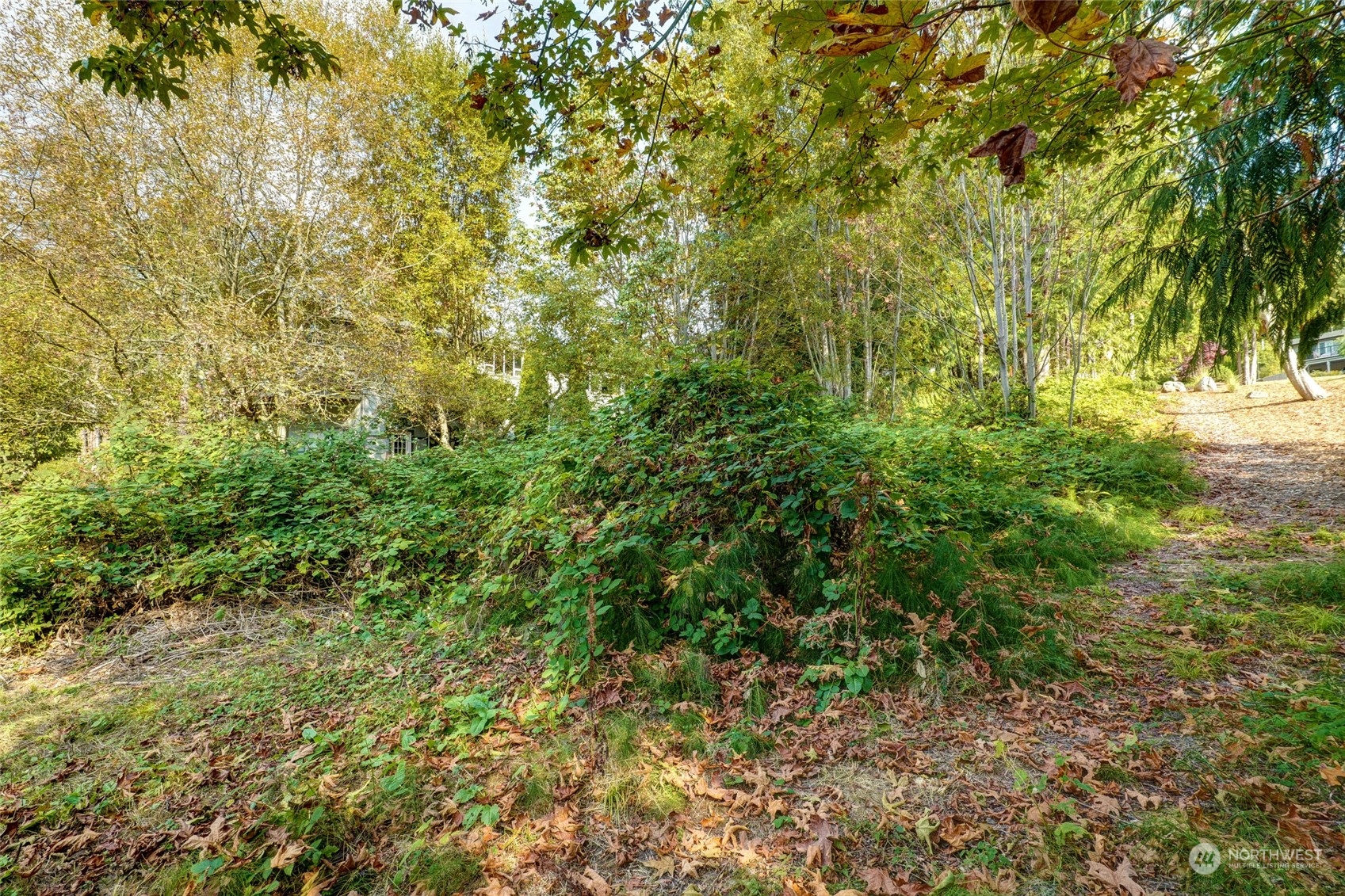 726 Shelter Bay Drive