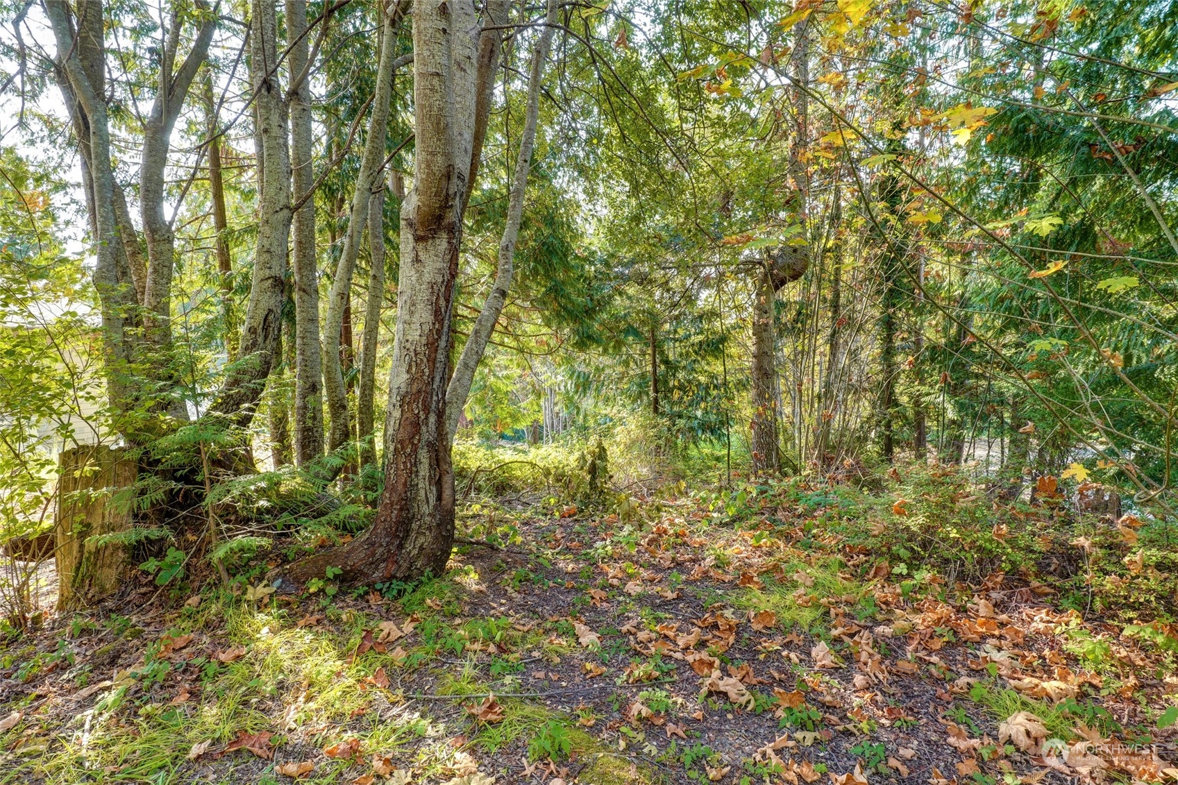 726 Shelter Bay Drive