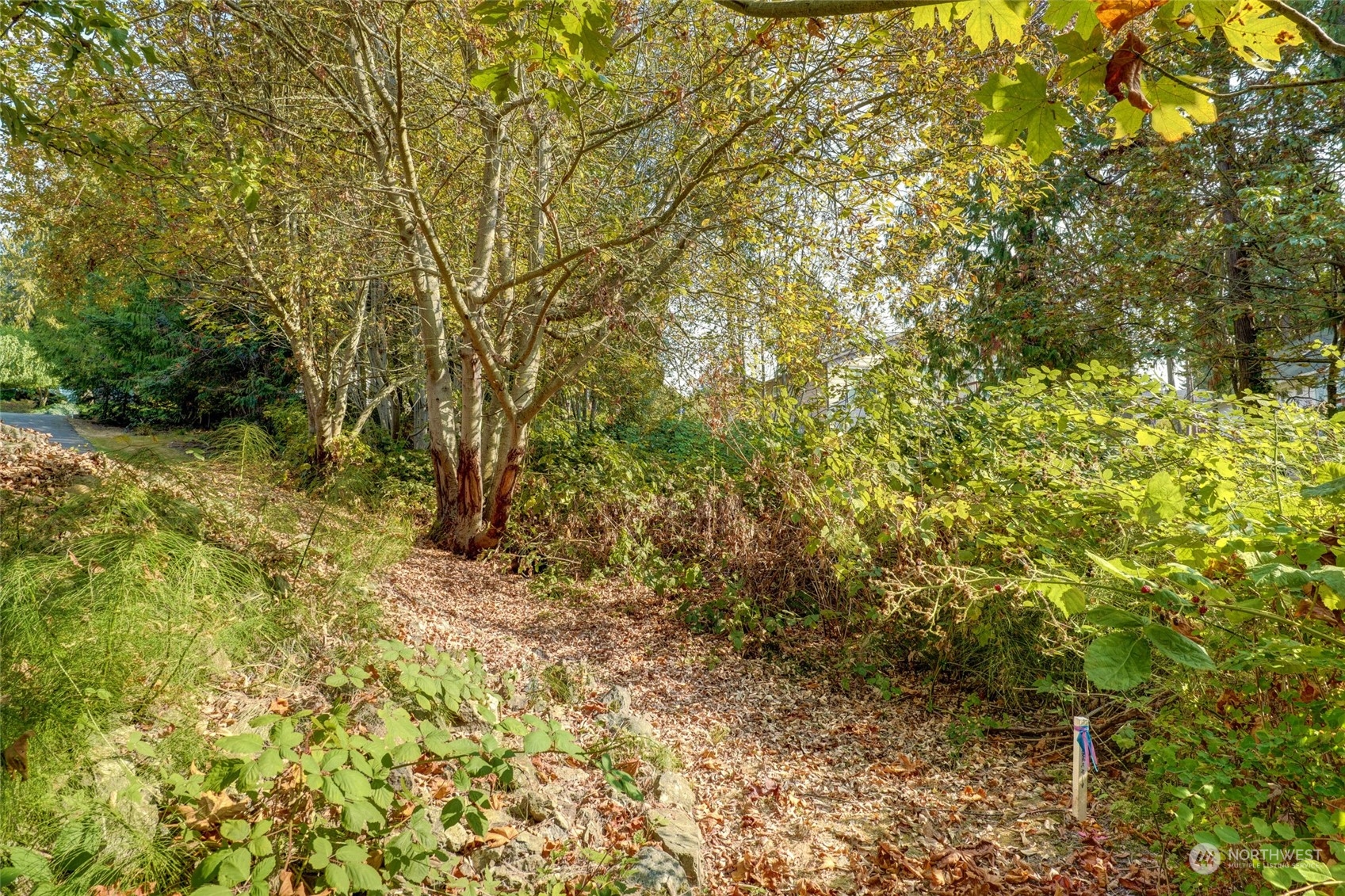 726 Shelter Bay Drive