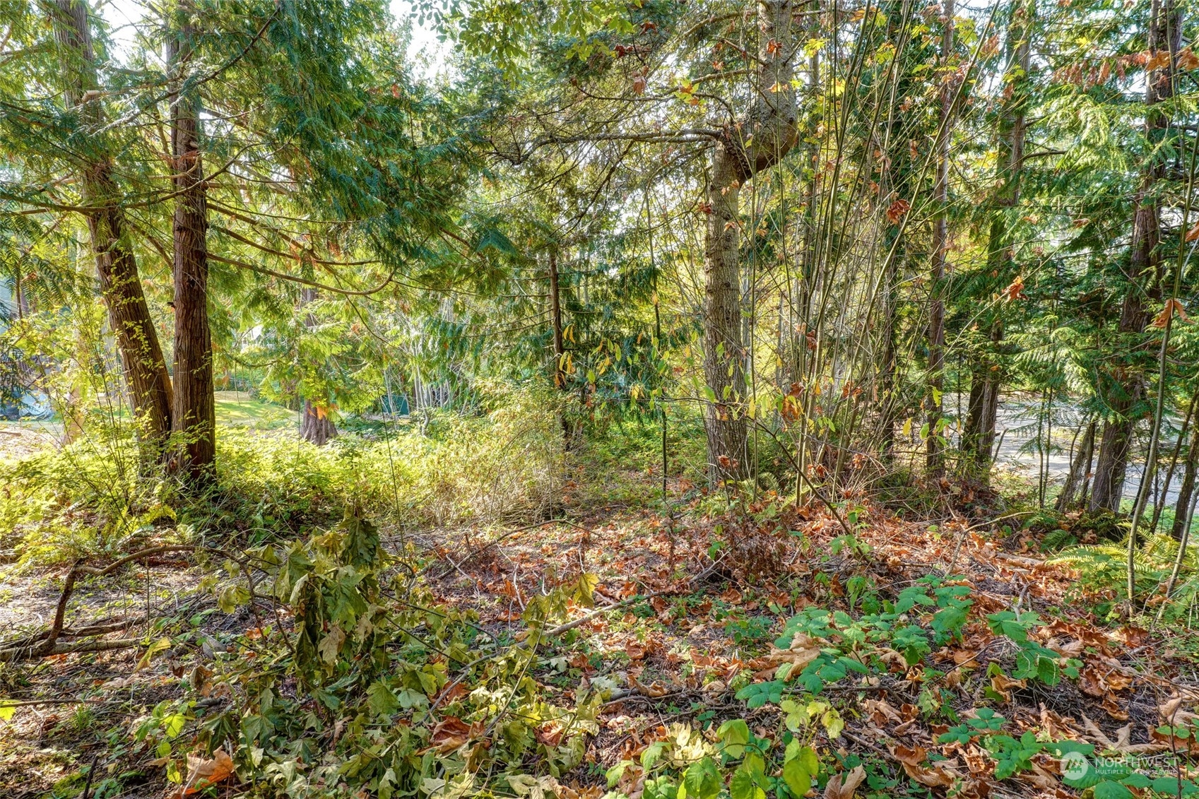 726 Shelter Bay Drive