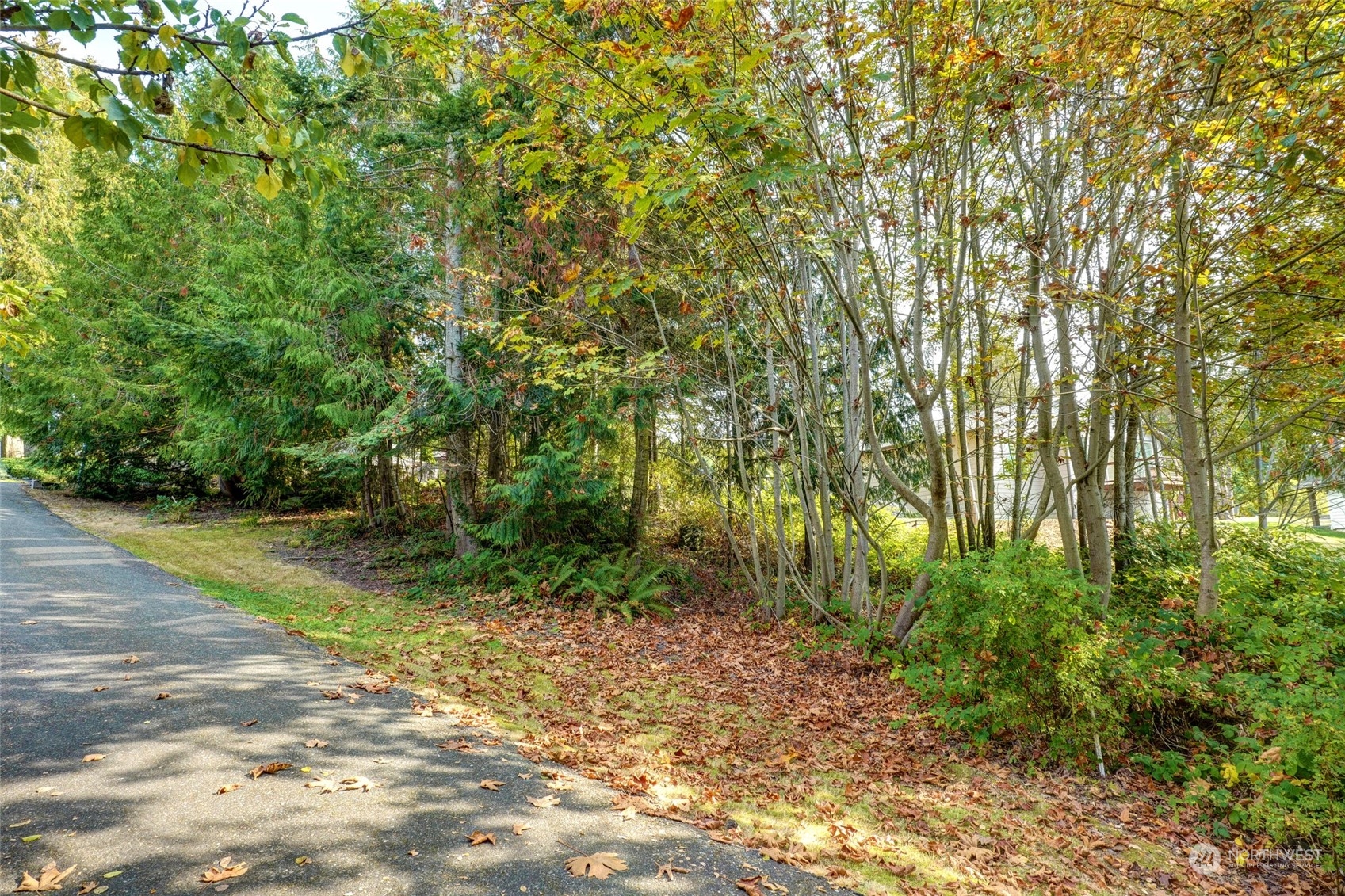 726 Shelter Bay Drive