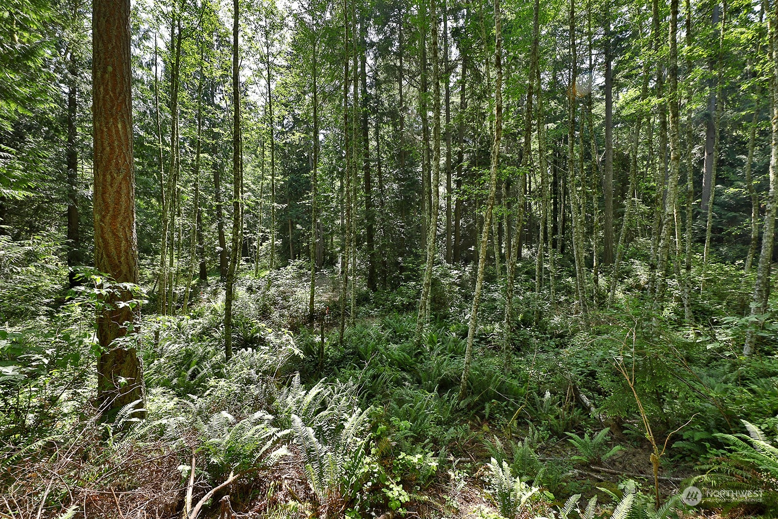 0 Lot F Saratoga Road