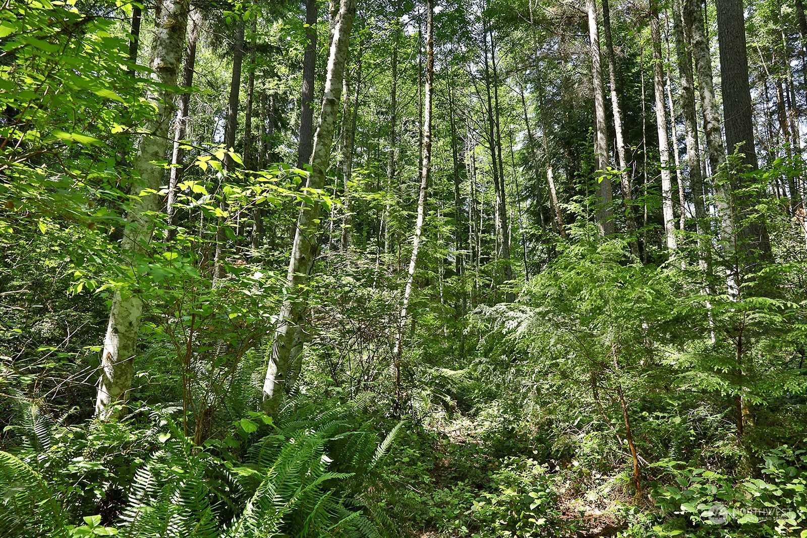 0 Lot F Saratoga Road