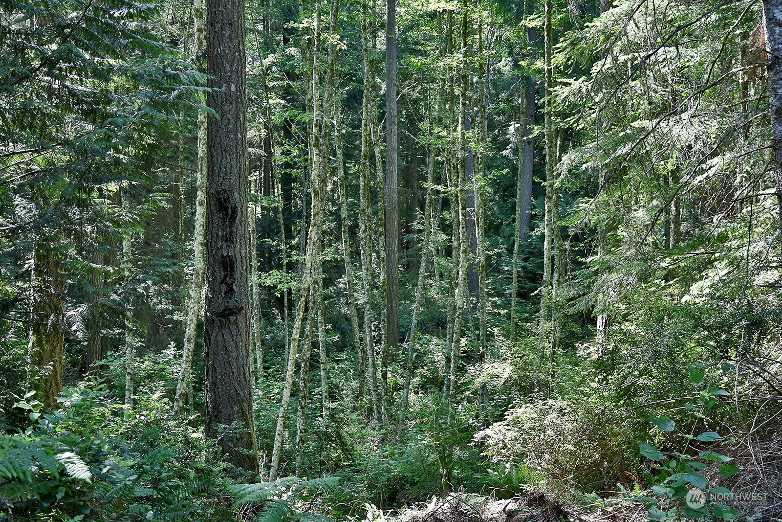 0 Lot F Saratoga Road