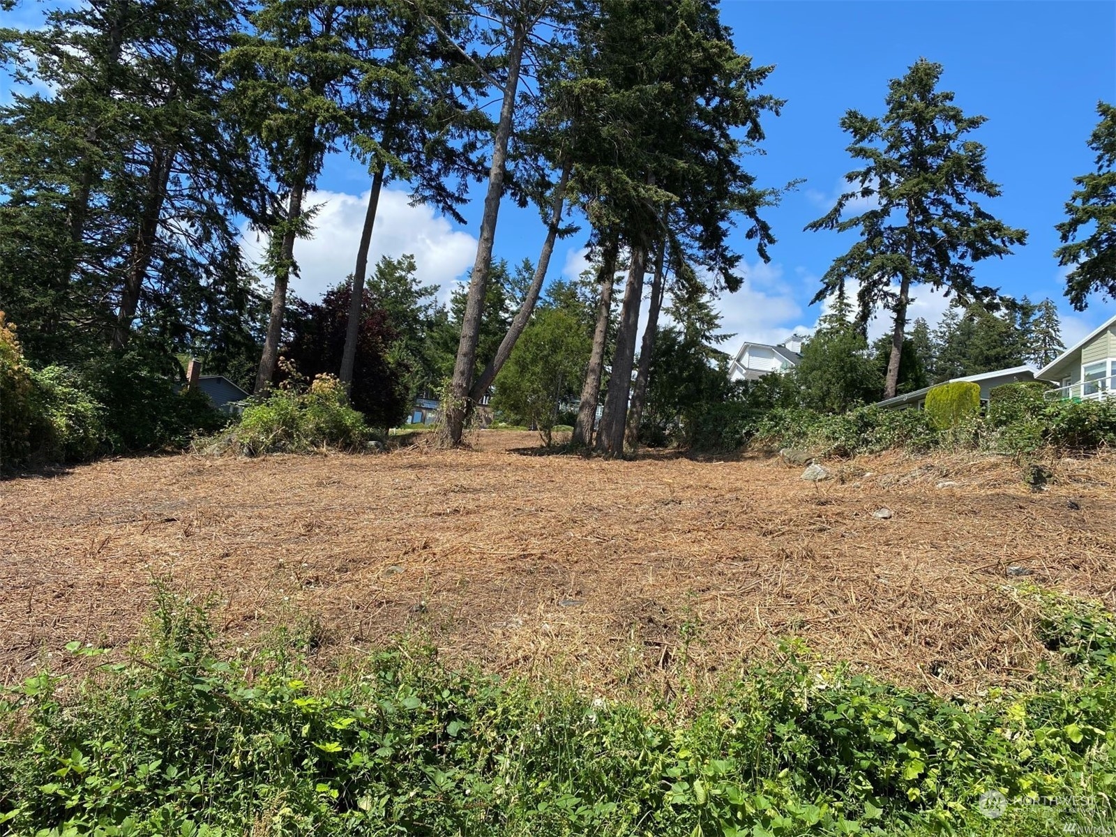 0 XXX Noel Greene Drive