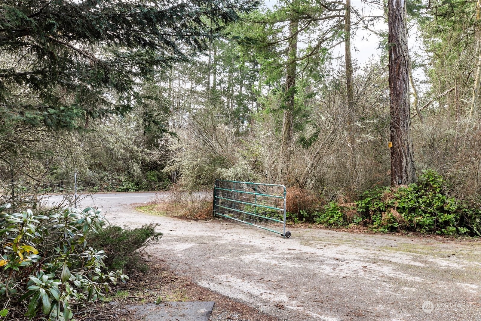 1976 Briarwood Drive