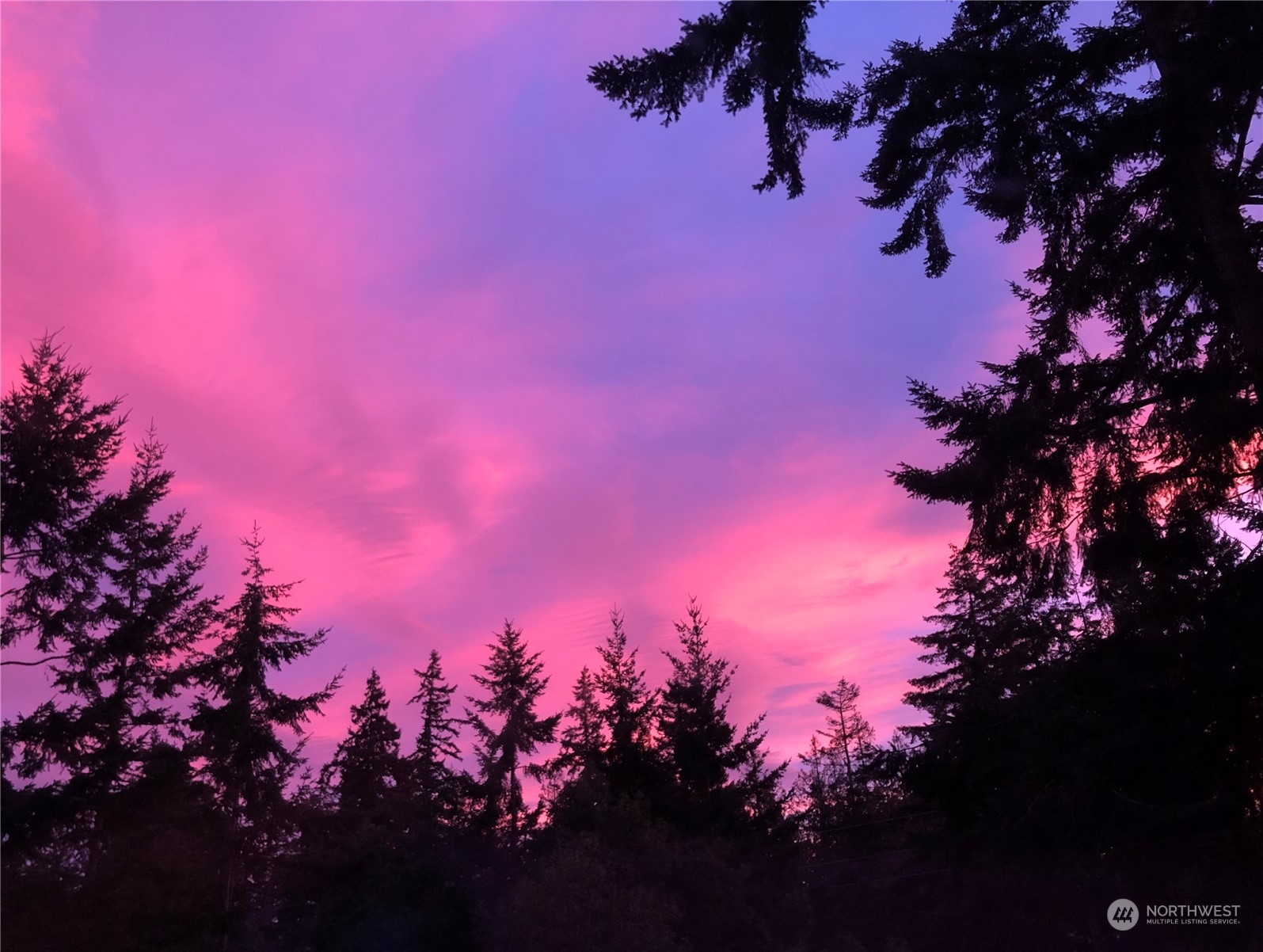 4541 Skagit Vista Drive