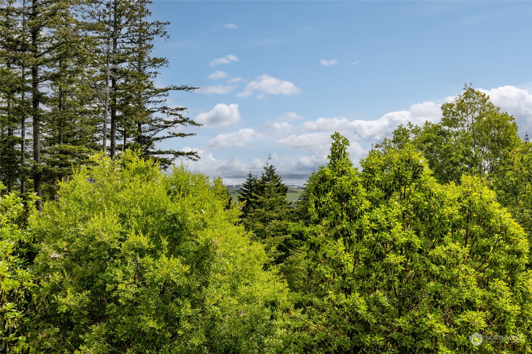 11952 Canyon Ridge Drive