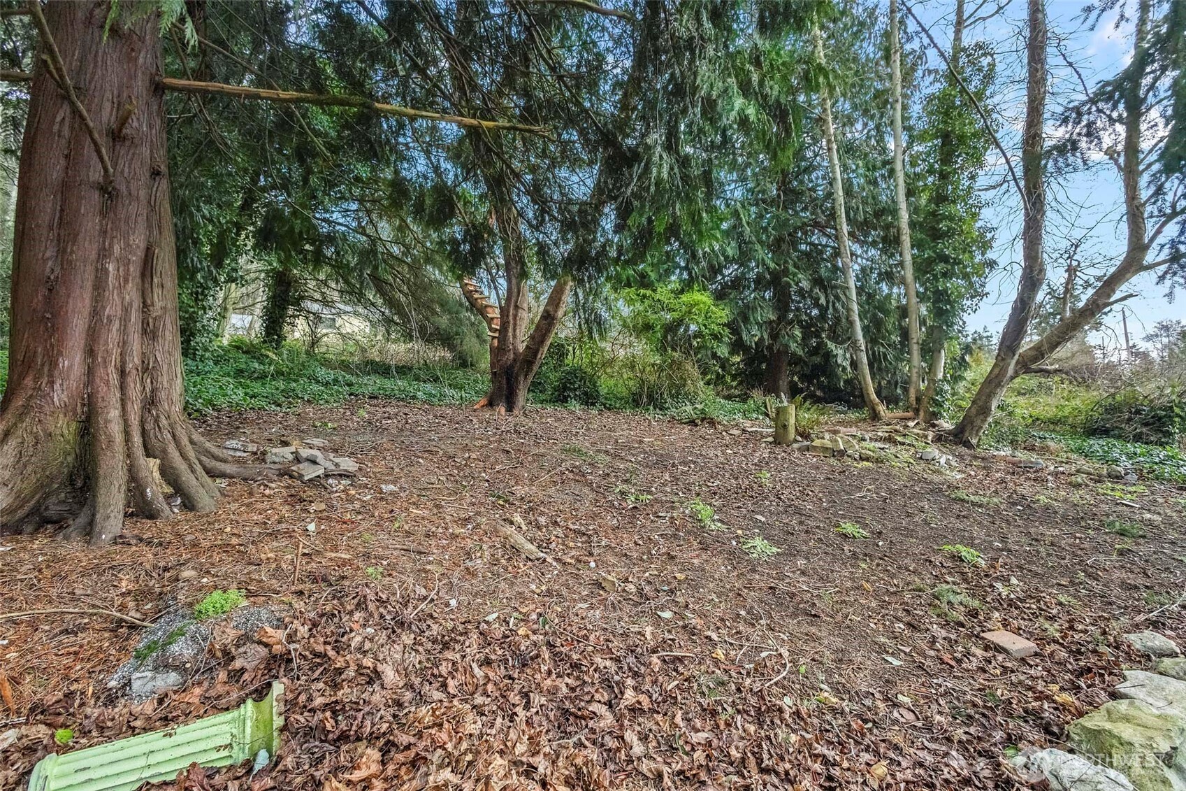 4398 Rhododendron Drive