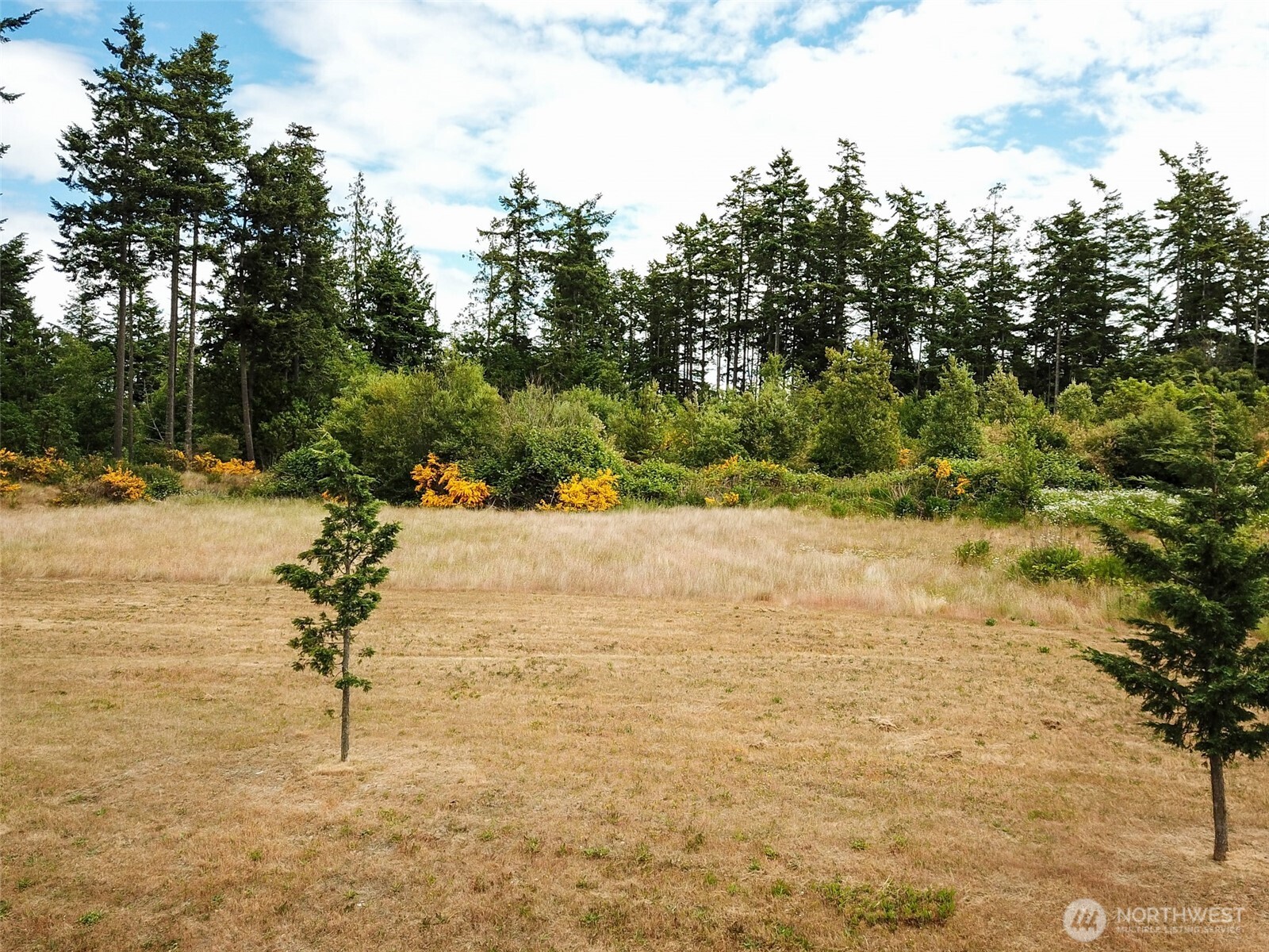 0 XXX Goldie Road Unit: 2