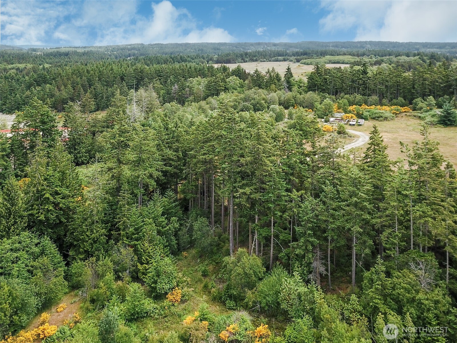 0 XXX Goldie Road Unit: 2