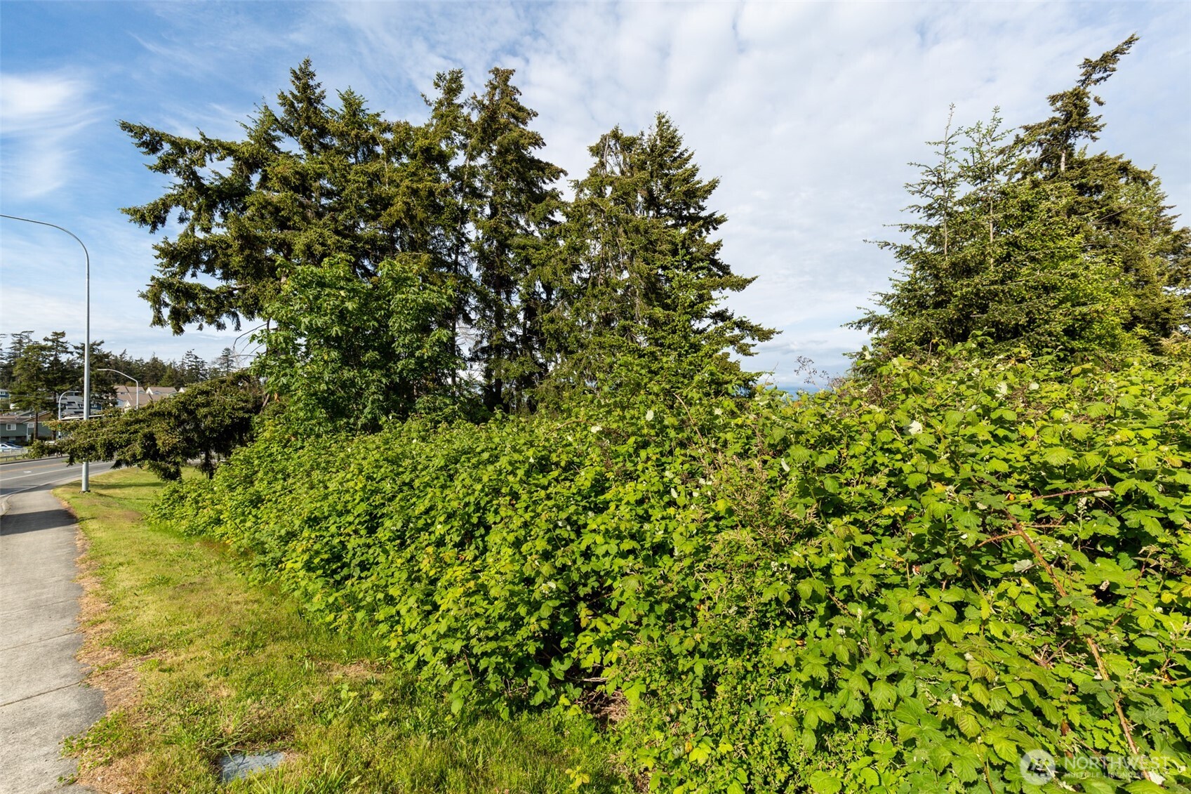 0 XXX State Route 20 (Lot 3)