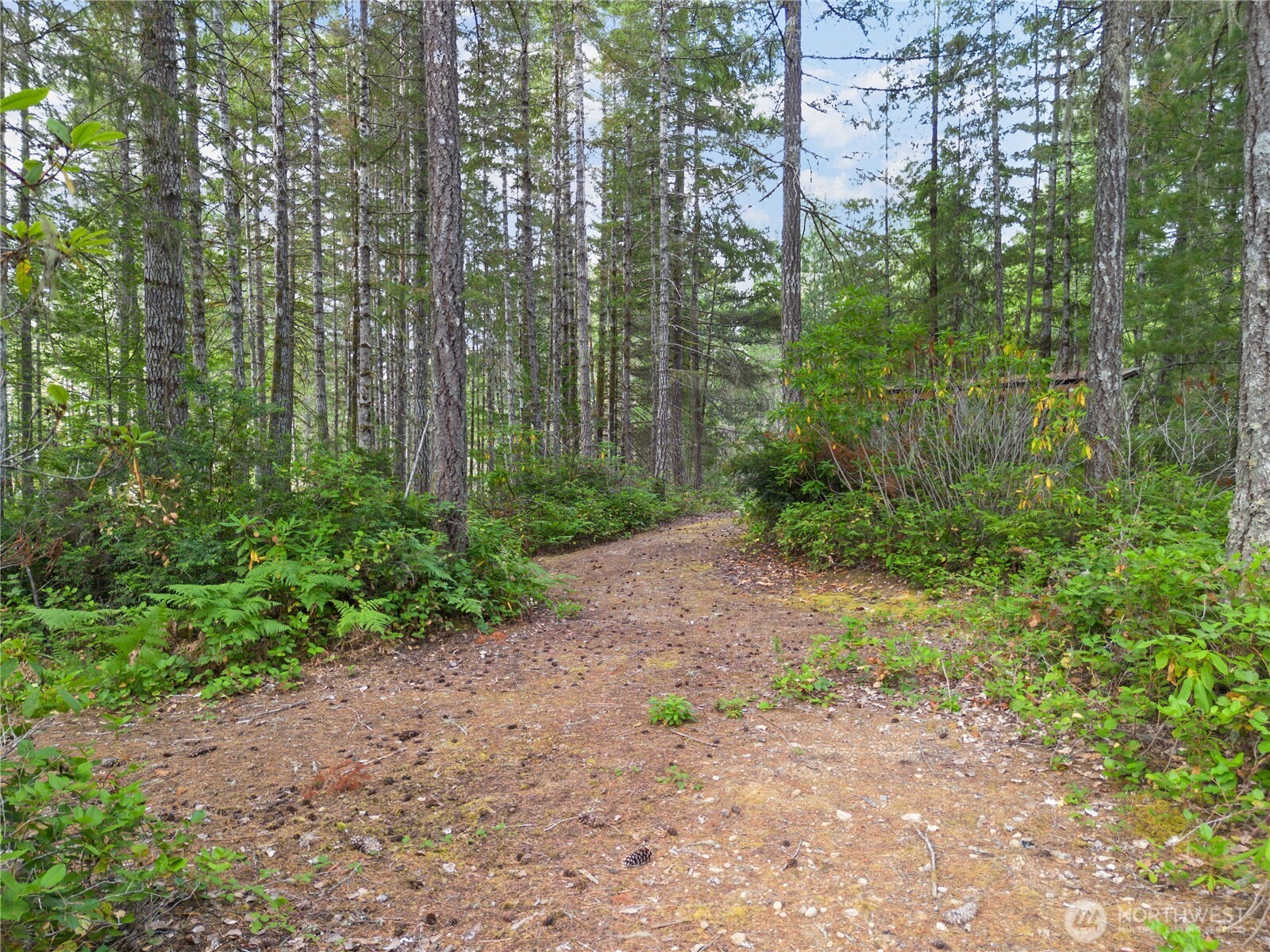 190 NE Pine Camp Road